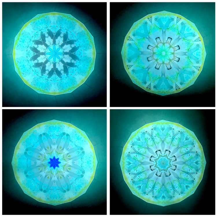 石田千香子_IS7015_4