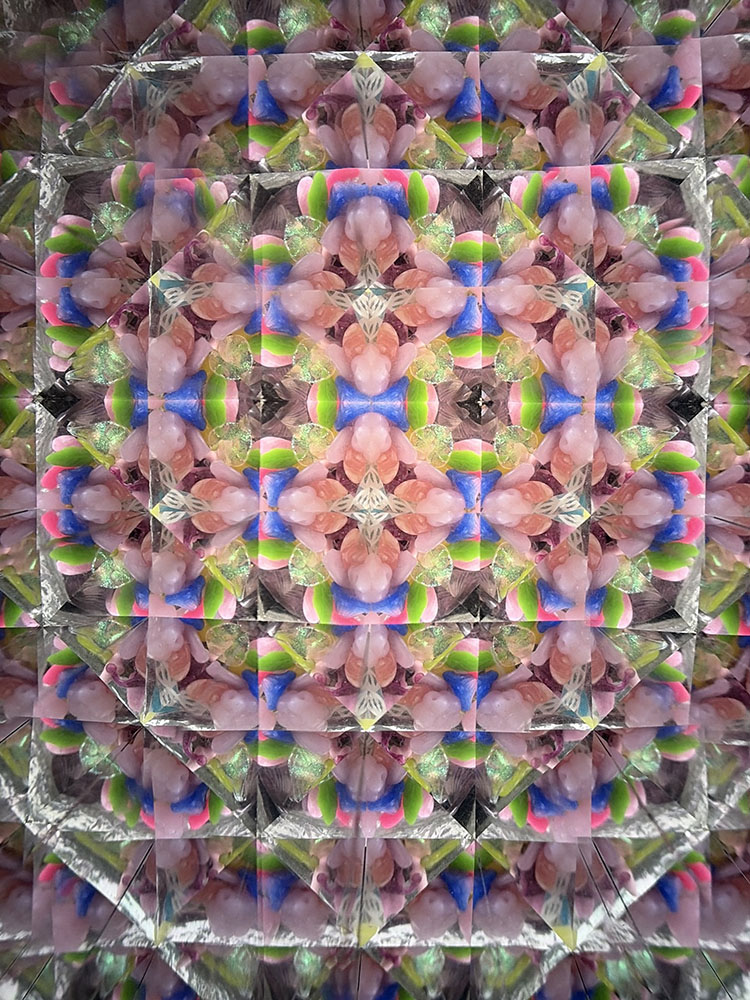 加藤_KT2065_12