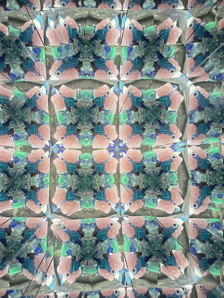 加藤_KT2066_1