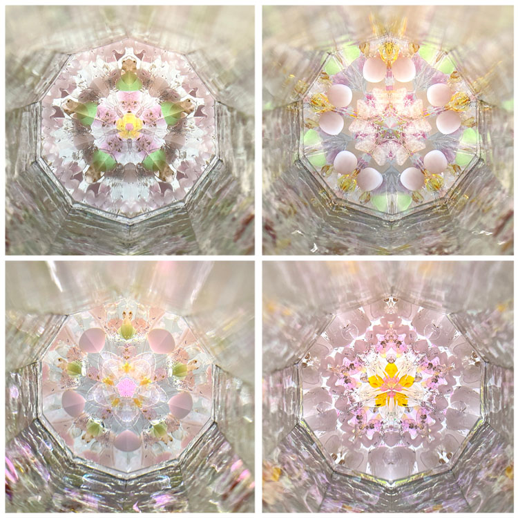 匂梅ちはる_PH7040_1