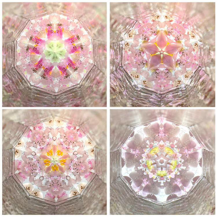 匂梅ちはる_PH7040_3