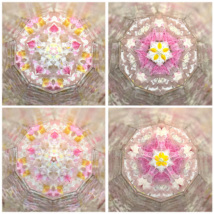 匂梅ちはる_PH7040_5