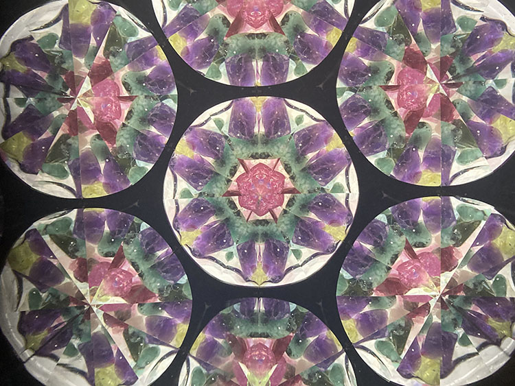 松平_MD7007_メイン