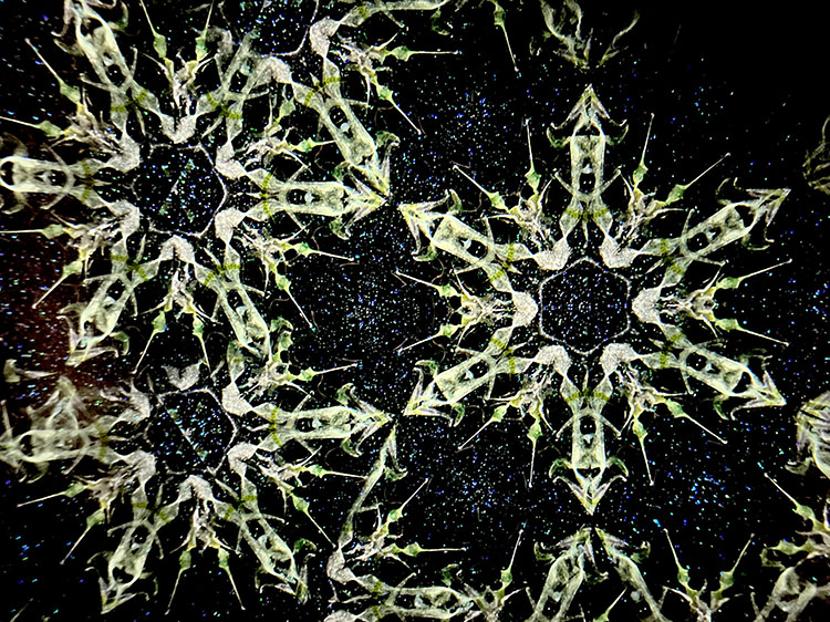 松田隆一_MR5011_15