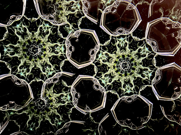 松田隆一_MR5011_3