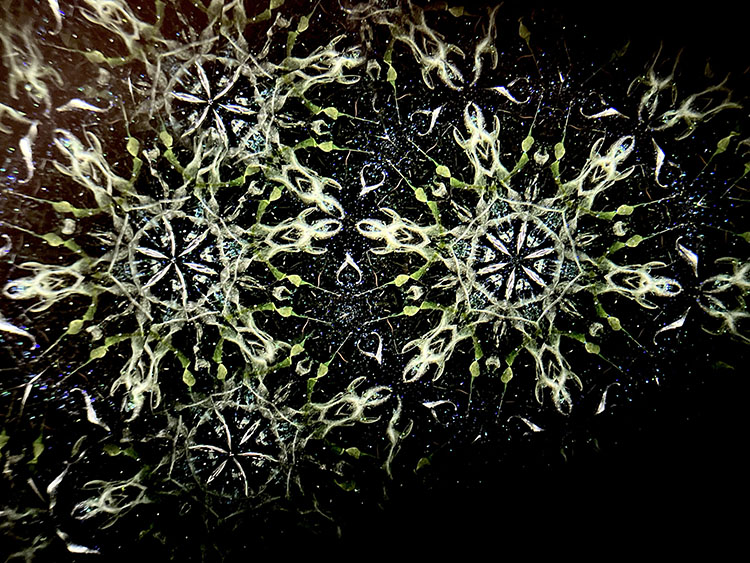 松田隆一_MR5011_9