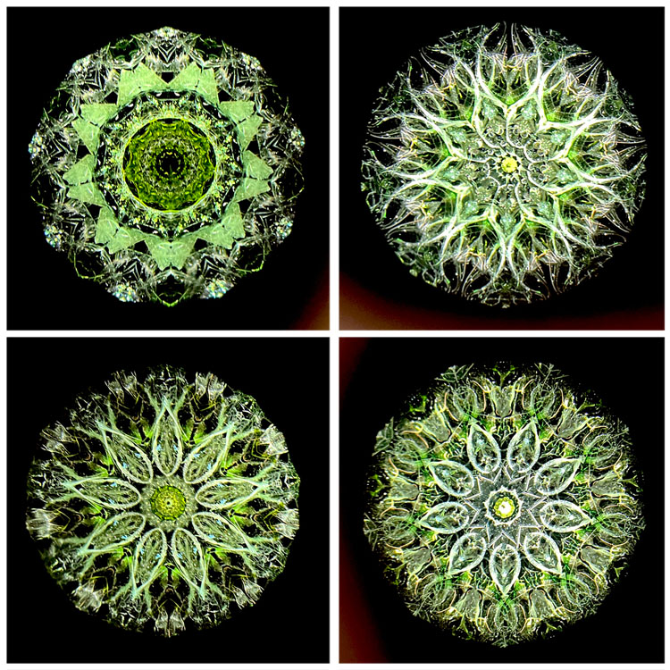 松田隆一_MR6012_1