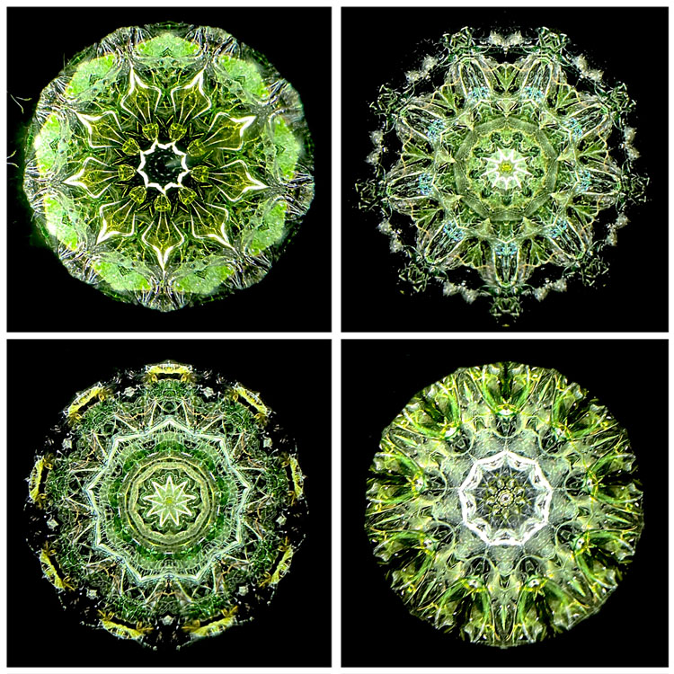 松田隆一_MR6012_2