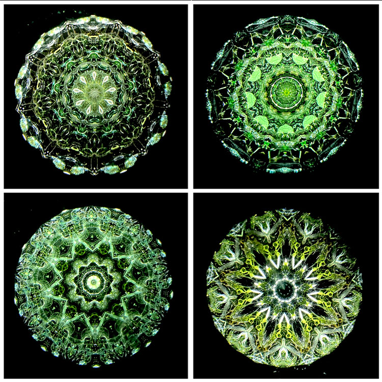 松田隆一_MR6012_4