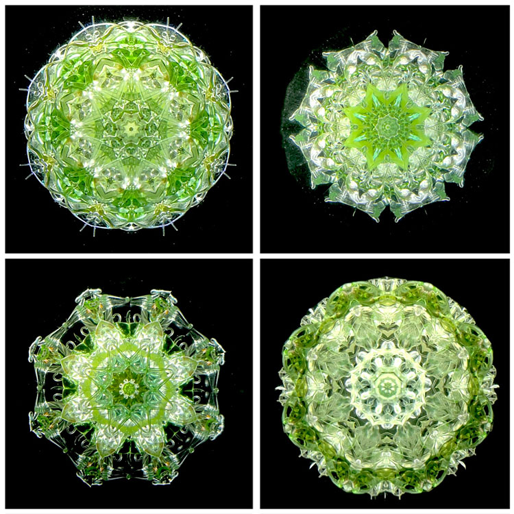 松田隆一_MR6013_2