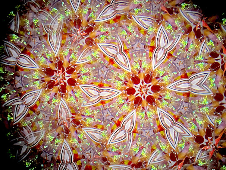 松田隆一_MR6015_11