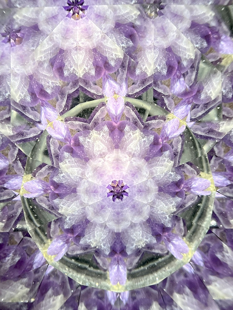 松平_MD7010_メイン