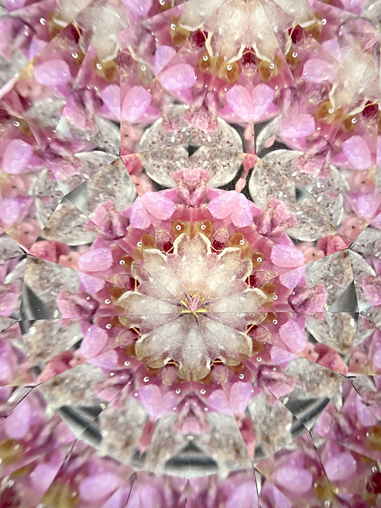 松平_MD7020_メイン