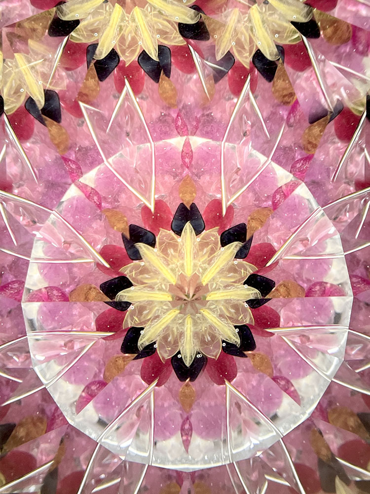 松平_MD7025_メイン