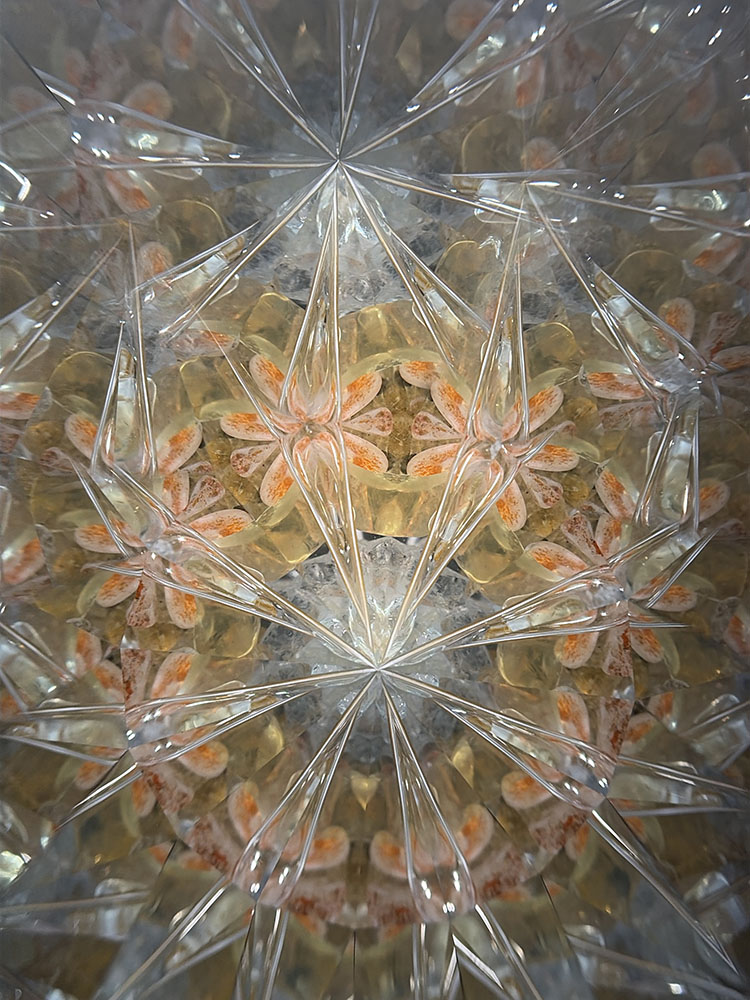 松平_MD7026_メイン