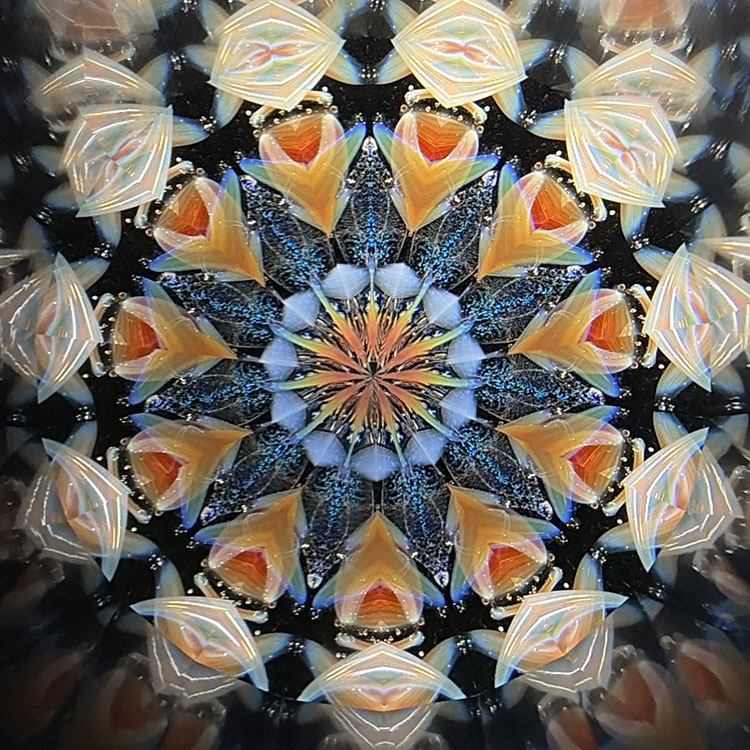 松本よしこ＆たけお_MT7003_メイン1