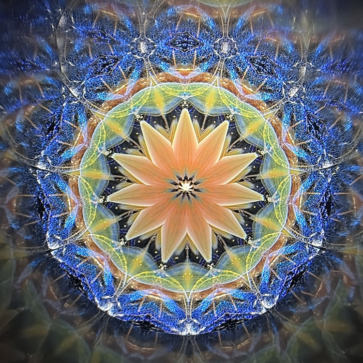 松本よしこ＆たけお_MT7003_メイン5