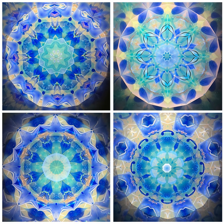 松本よしこ＆たけお_MT7004_4