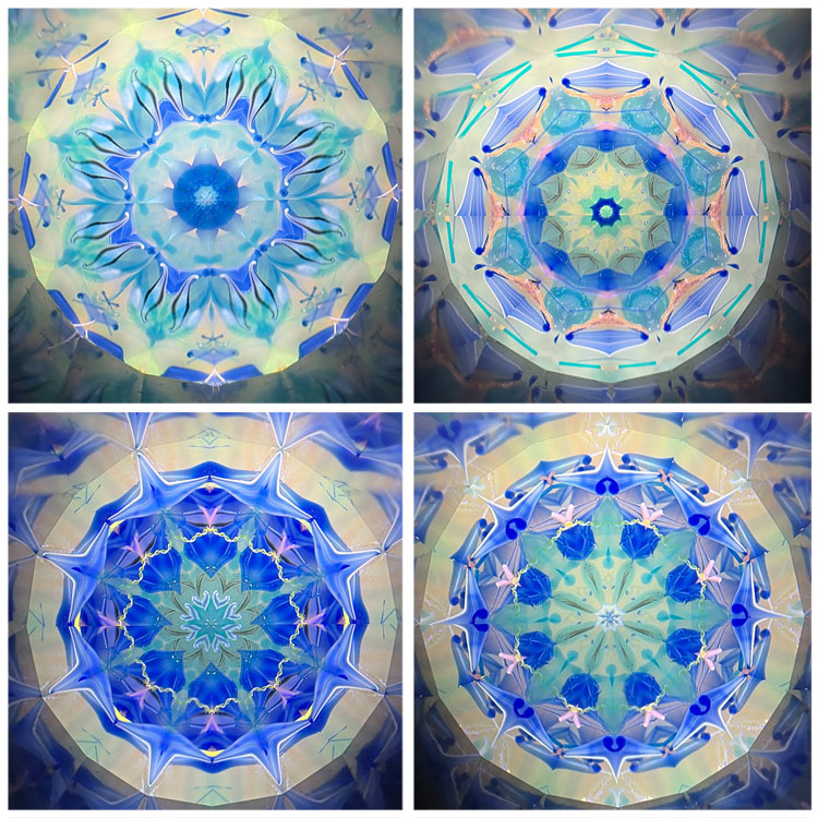 松本よしこ＆たけお_MT7004_5