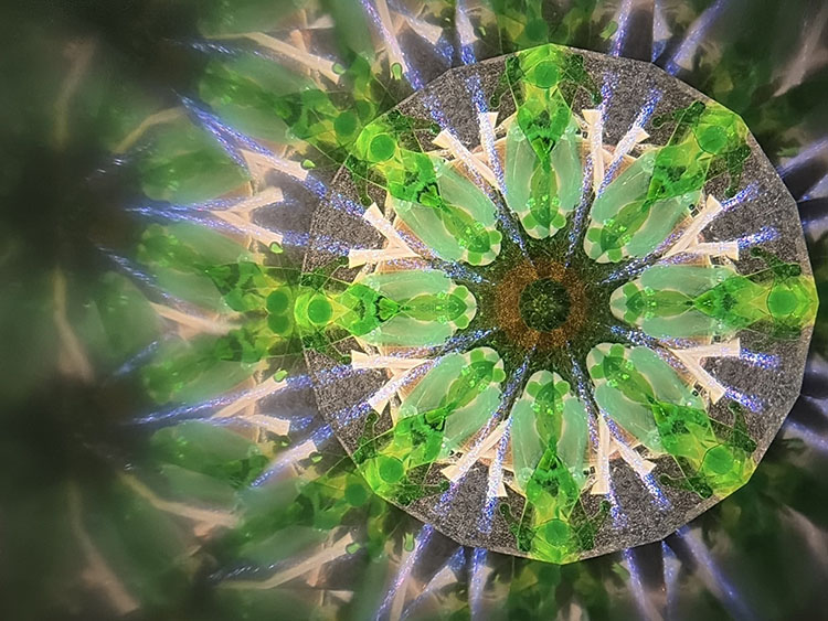 松本_MT7005_2