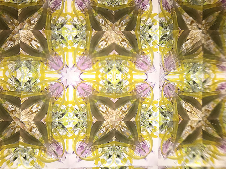 溝口_MZ7007_メイン