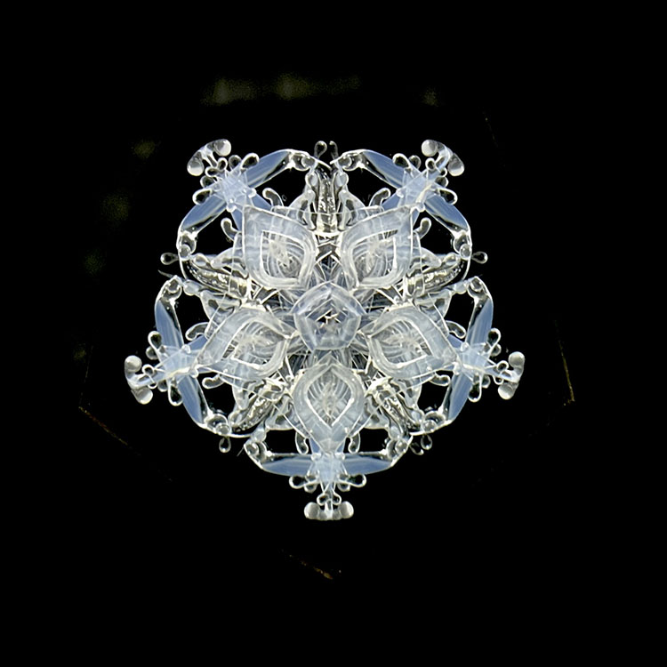 溝口_MZ7009_メイン1