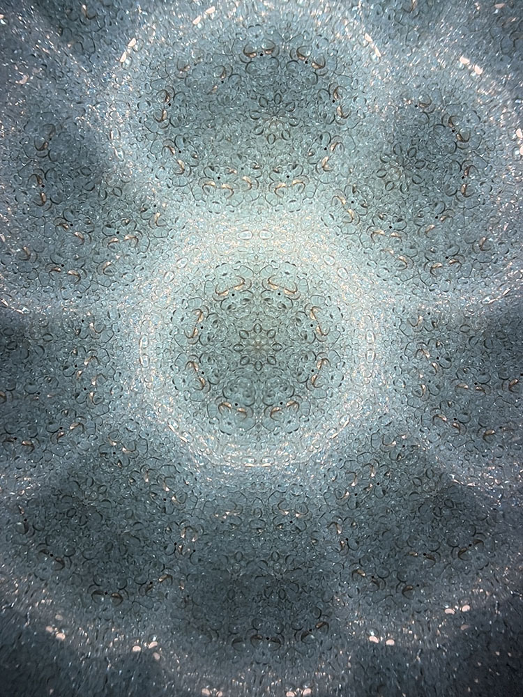 溝口_MZ8007_5