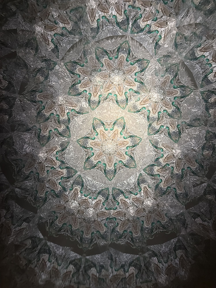 溝口_MZ8008_2