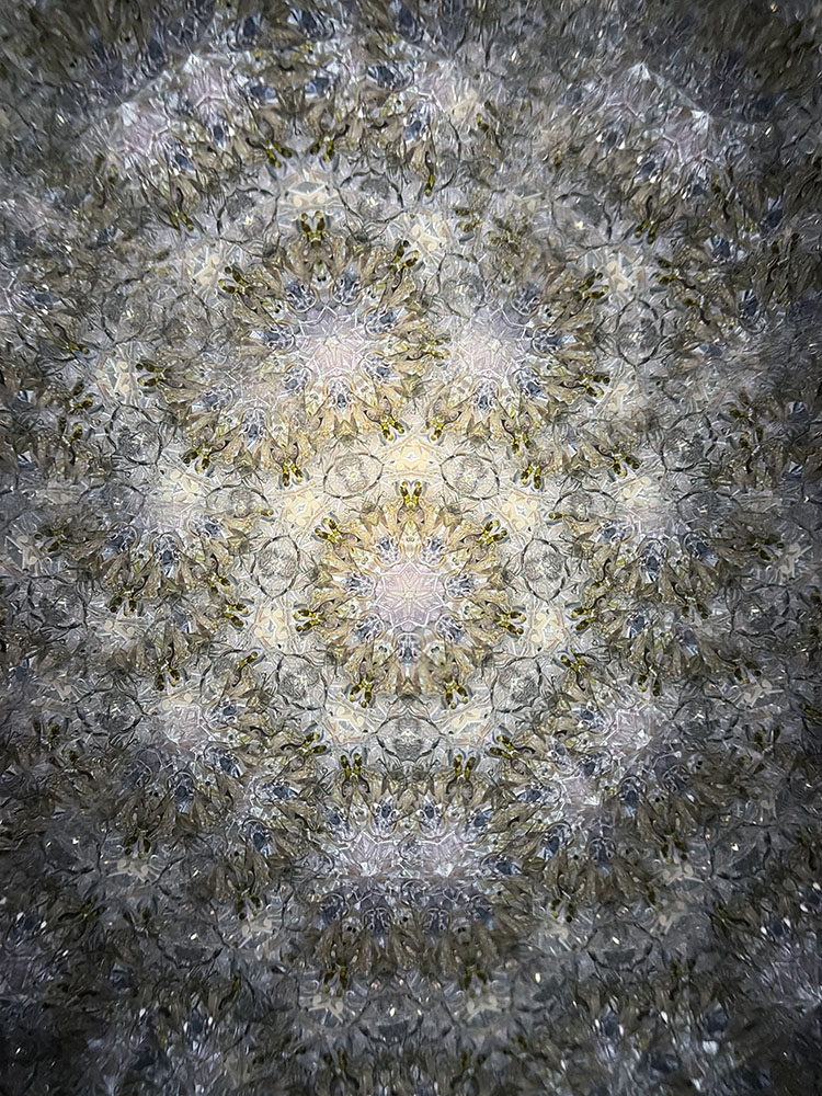 溝口_MZ8008_23