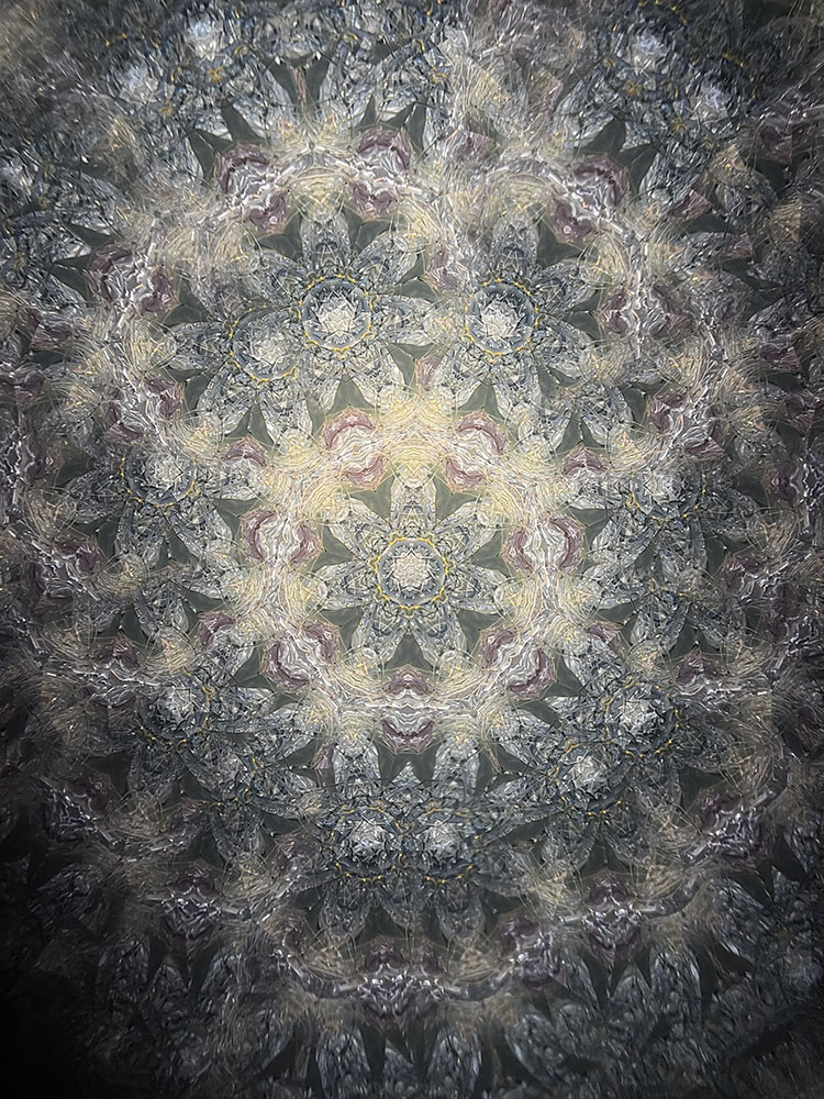 溝口_MZ8008_メイン