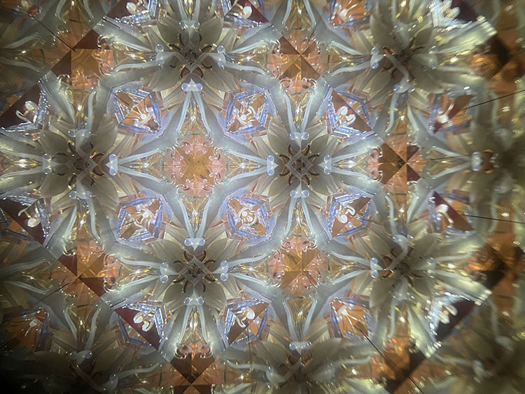 溝口_7004_メイン