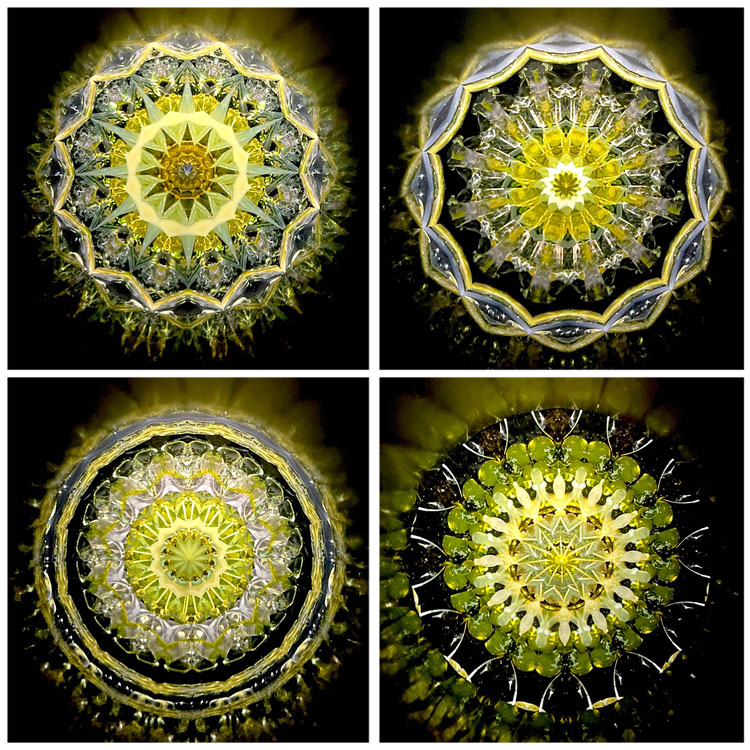 小野寺慶子_OK6010_1