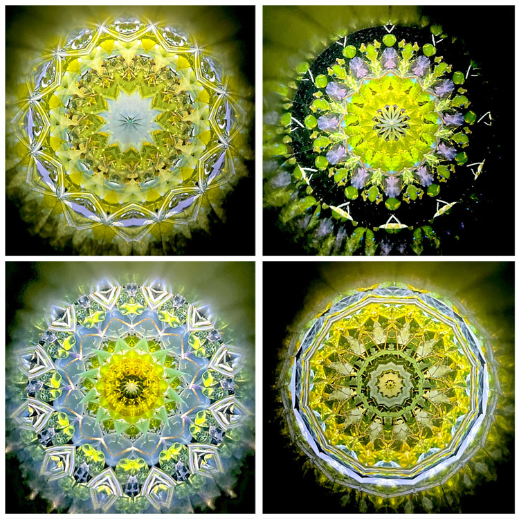 小野寺慶子_OK6010_6