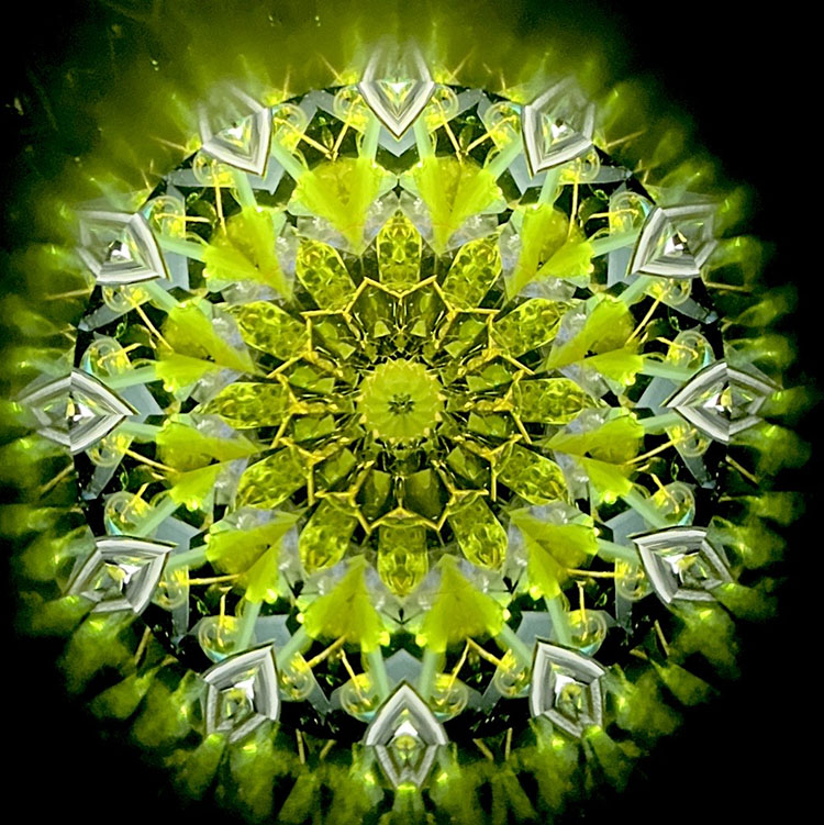 小野寺慶子_OK6010_メイン2