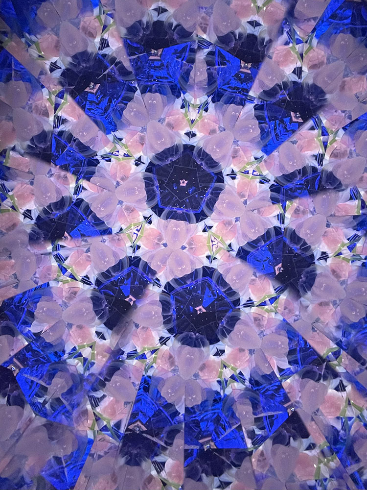 小野寺慶子_OK7016_21