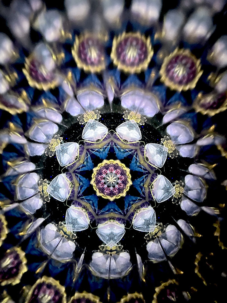 小野寺慶子_OK7017_14