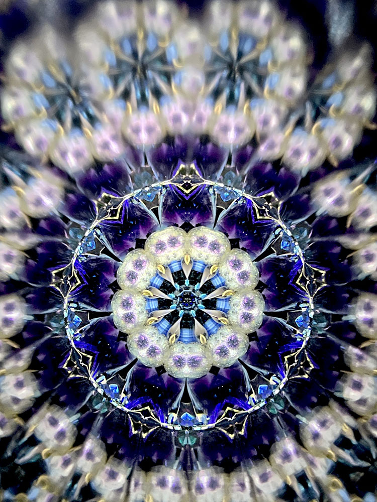 小野寺慶子_OK7017_17