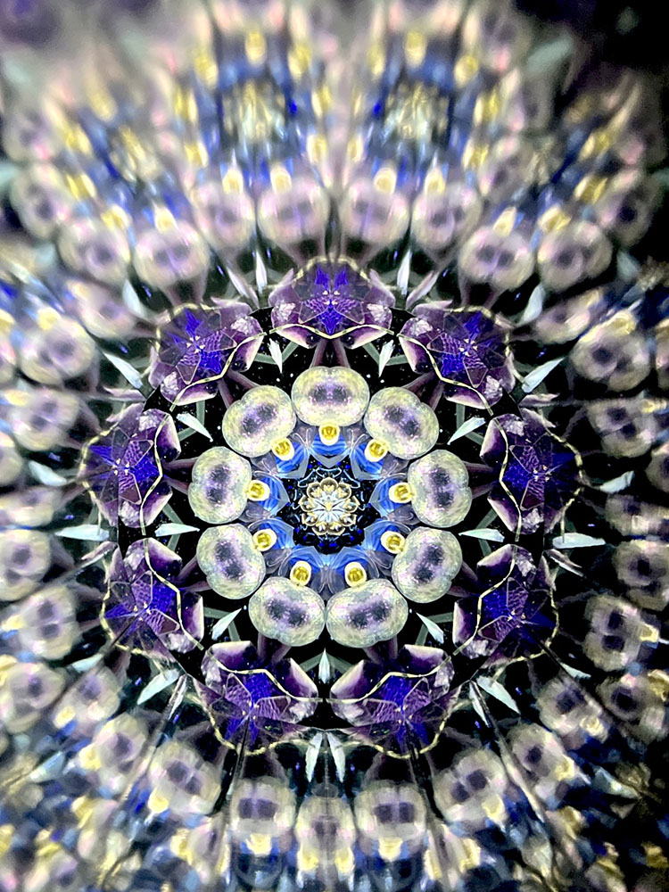 小野寺慶子_OK7017_18