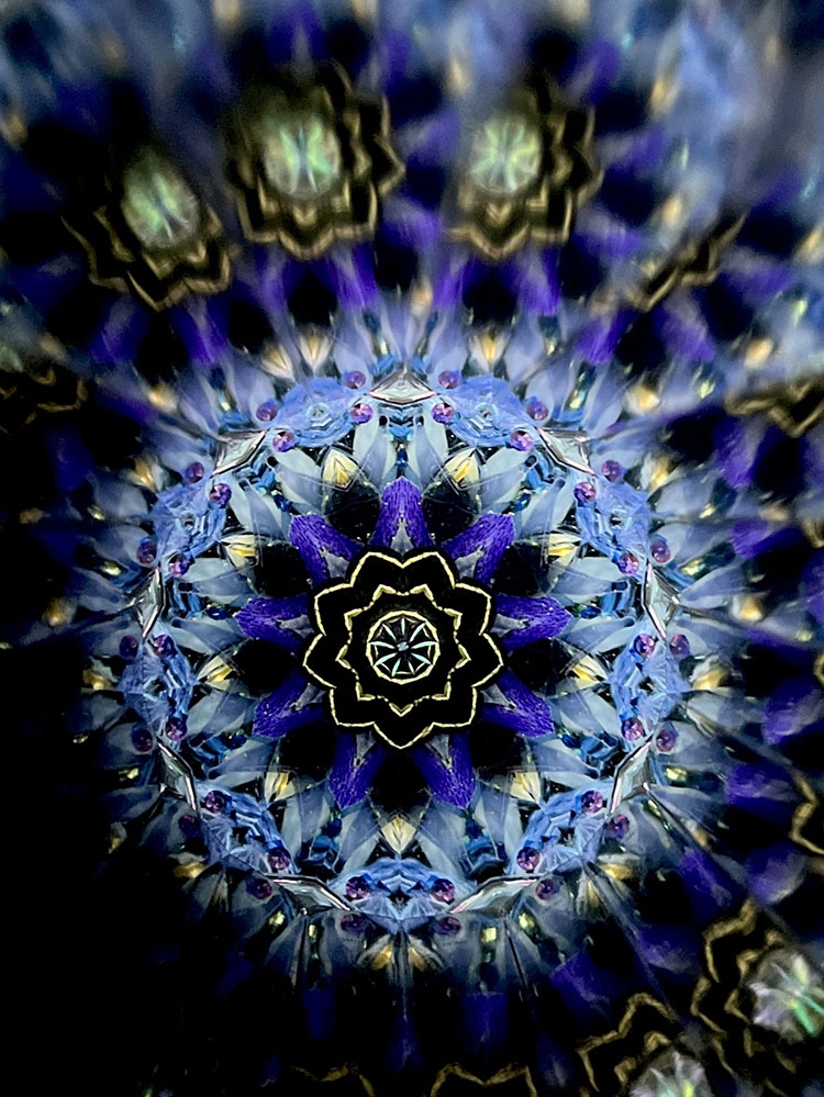 小野寺慶子_OK7017_4