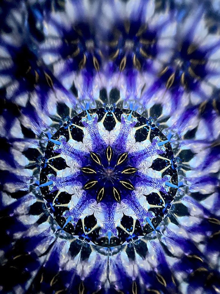 小野寺慶子_OK7017_8