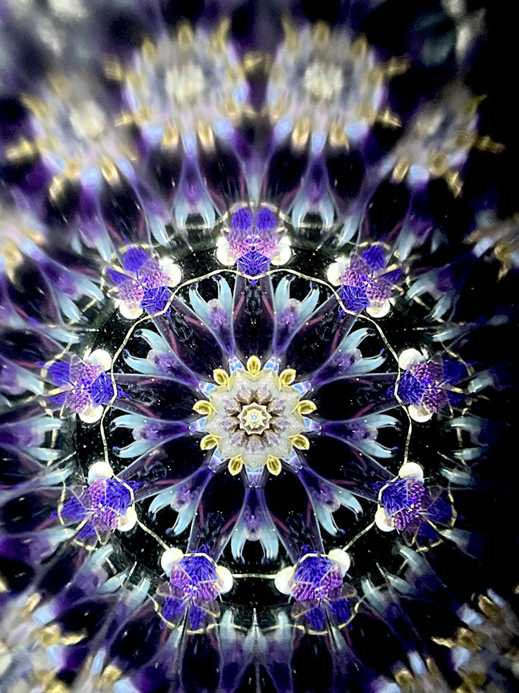 小野寺慶子_OK7017_メイン