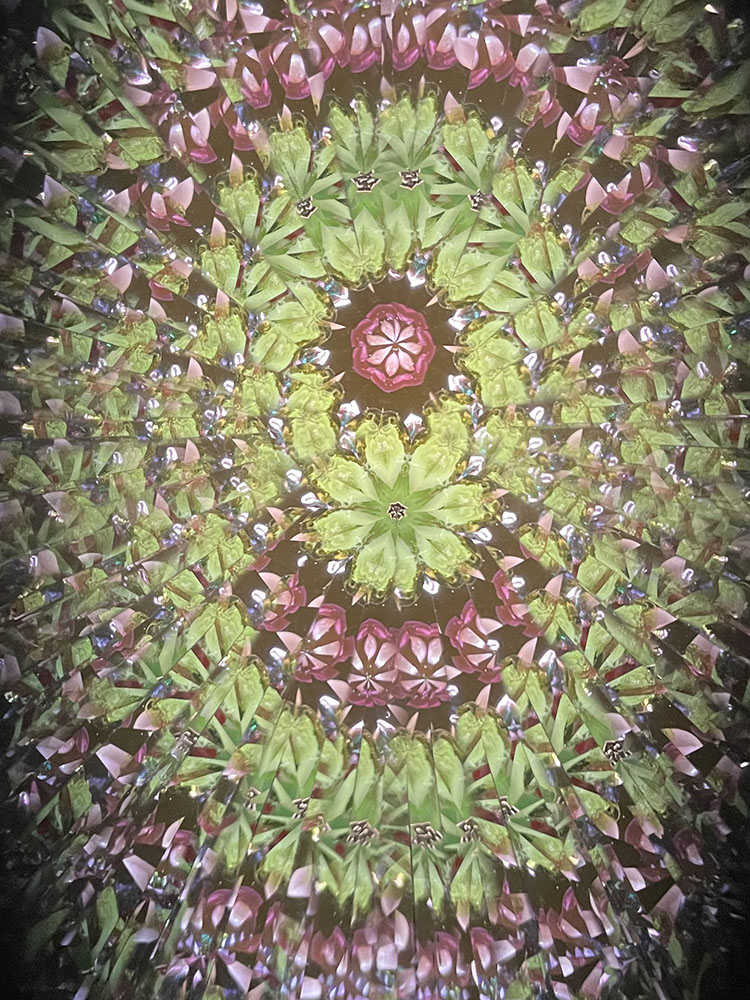 大塚_oo16-9-3_10