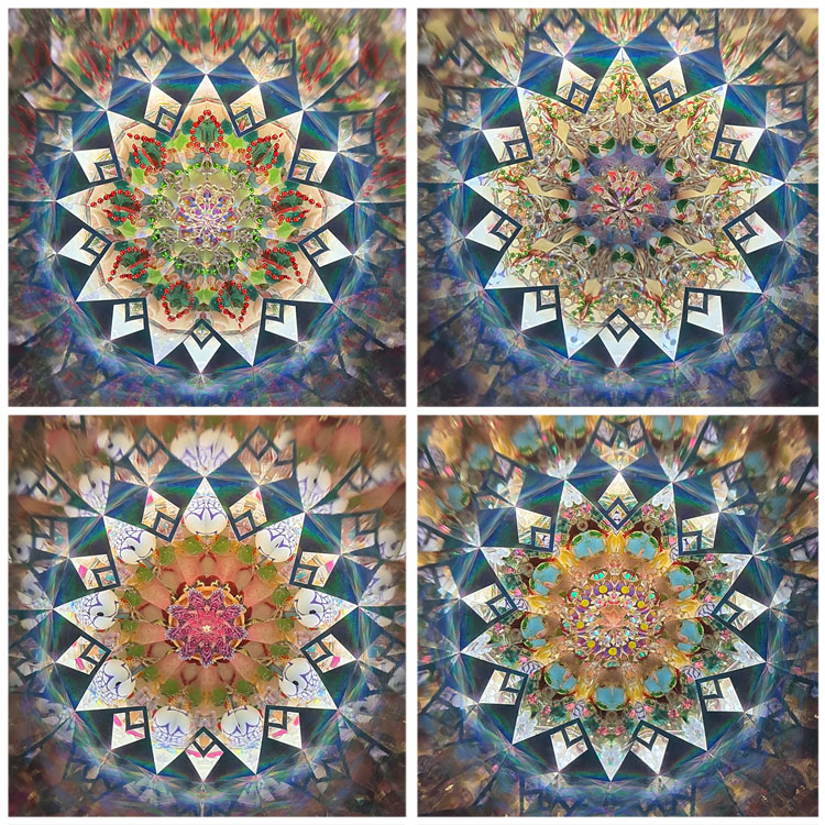 大塚_OO-17-9-21_2
