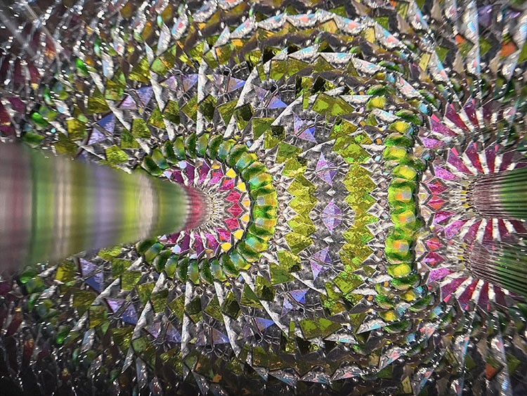 小澤りさ_OZ7001_1