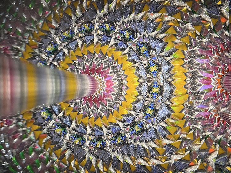 小澤りさ_OZ7001_2