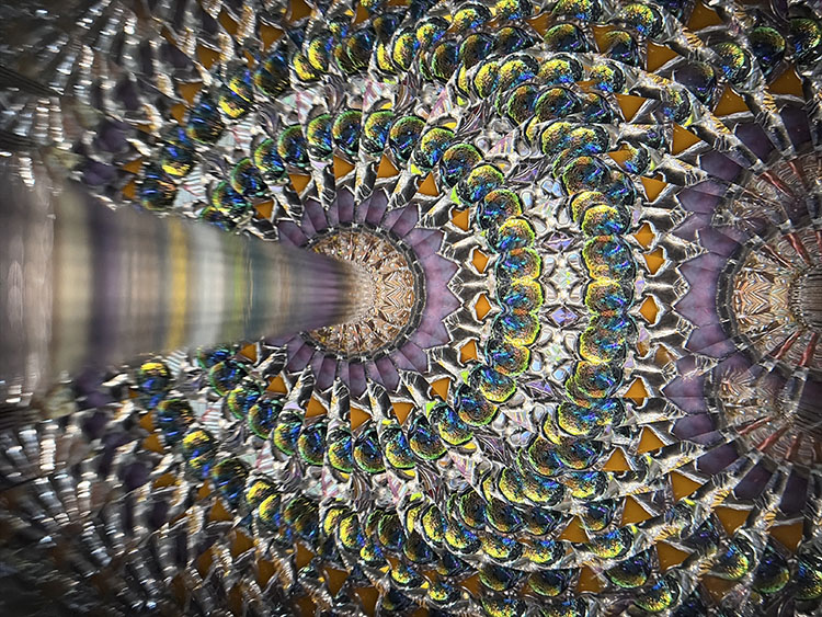 小澤りさ_OZ7001_4