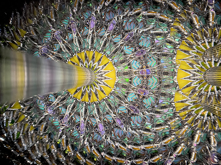 小澤りさ_OZ7001_6