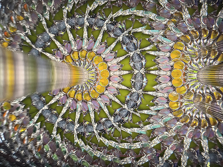 小澤りさ_OZ7001_7