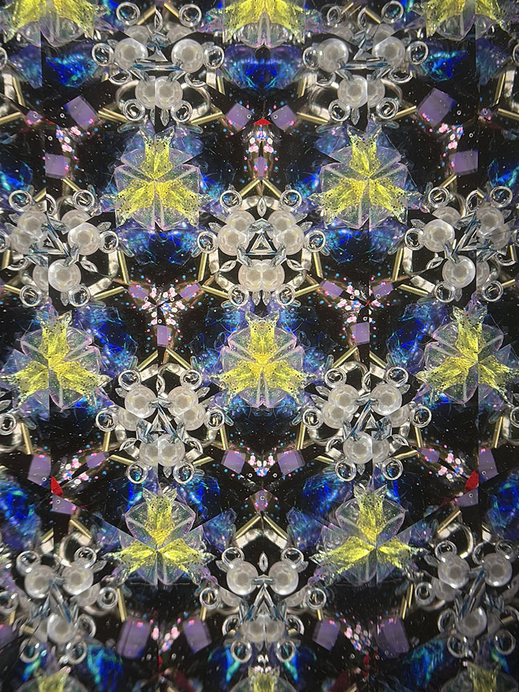 シマエナガ_PU7008_6