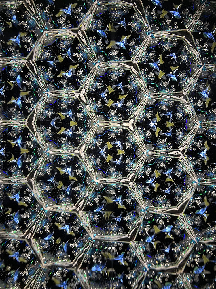 シマエナガ_PU7022_11